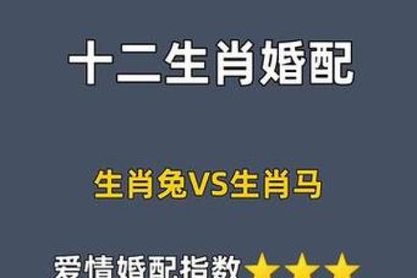 属兔的属相婚配表_1999年属兔的属相婚配表