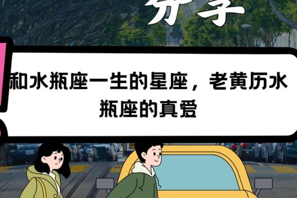 白羊座适合水瓶座吗(白羊座适合谁)