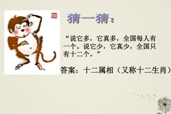 步步为营打一个生肖(步步为营猜生肖)