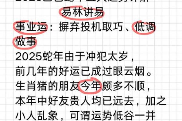 属狗的2025犯太岁吗_属猪的2023年犯太岁吗