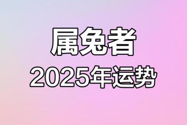 2025年六三年属兔男运势详解财运事业健康全解析