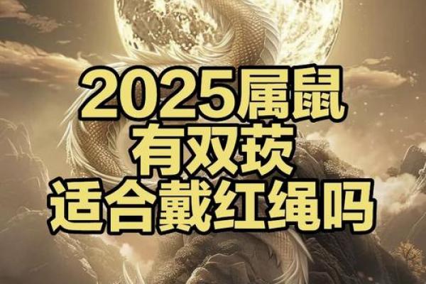 1984年属鼠2025年整体运势
