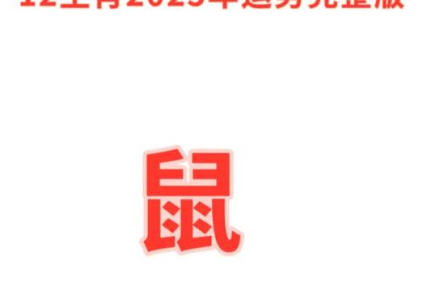1996属鼠2025年运势及运程