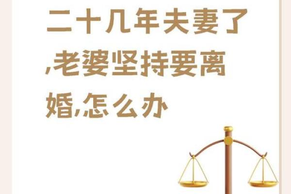 女人二婚永远爱前夫 女人二婚为何仍难忘前夫揭秘情感背后的真相