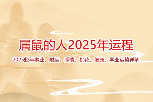 1996属鼠的今年运势如何