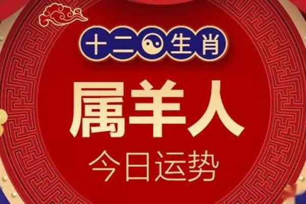 79年的属羊人运程 79年属羊人2024年运程解析事业财运与感情运势全揭秘
