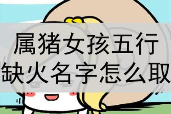 2007年五行属什么火 07年出生的属猪人命运好不好-在线...