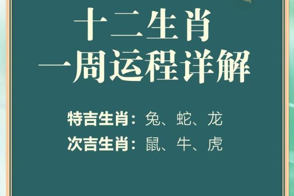 云淡风轻打一个生肖(云淡风轻打一生肖是什么)