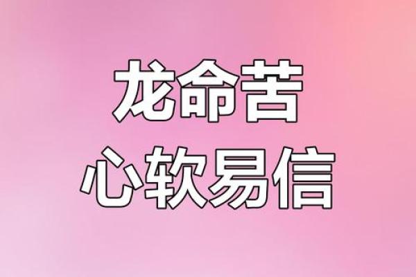 1976年属什么