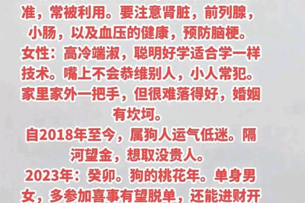 1982年属狗人40岁到49岁运程 1982属狗人39岁到49岁运程