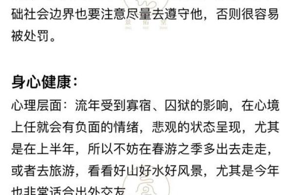 属猪人蛇年运势2025_2025年属猪人蛇年运势解析财运事业感情全攻略