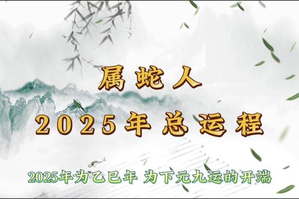 属猪人蛇年运势2025_2025年属猪人蛇年运势解析财运事业感情全攻略