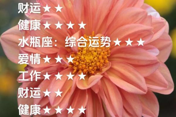2025年4月11日摩羯座今日运势