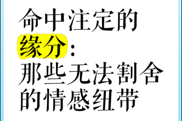免费两人缘分测试揭秘你们的命中注定