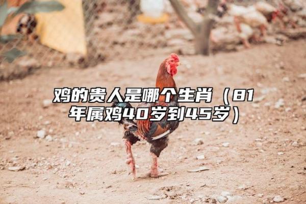 八骏日行三万里是什么生肖(八骏日行三万里是什么生肖六宫一例鸡冠子)