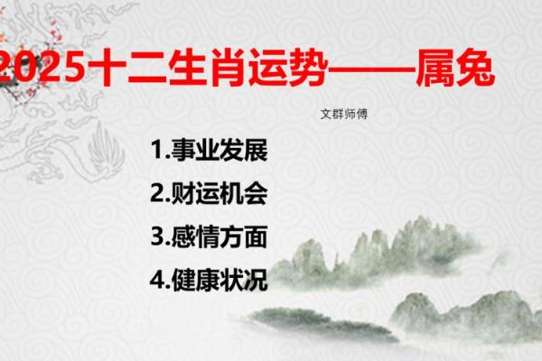 2025年兔人的全年运势 2025年兔人的全年运势详解