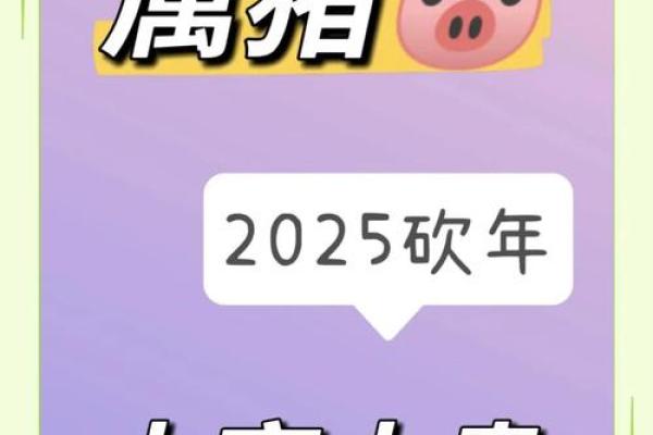 2025生肖猪运势详解_2025年生肖猪
