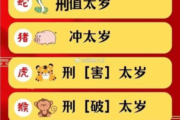 59年出生属猪的今年命运_59年属猪2025年有一灾