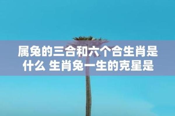 1975年的兔是什么命五行属性 1975年兔子是属什么命