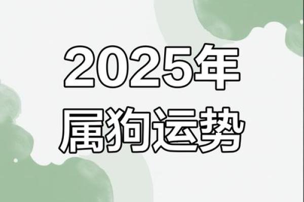 1982年属狗2025年运势 1982年属狗2025年运势详解事业财运与感情走向