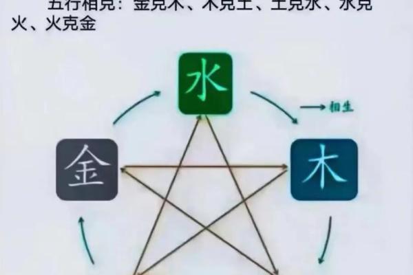 2023年兔五行属什么 2023年兔五行属什么命