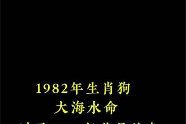 2025年属狗人运势解析事业财运大揭秘
