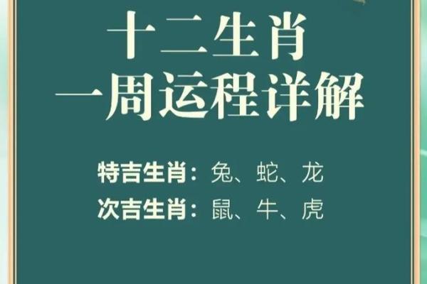 属龙明日运势_属龙明日运势神巴巴