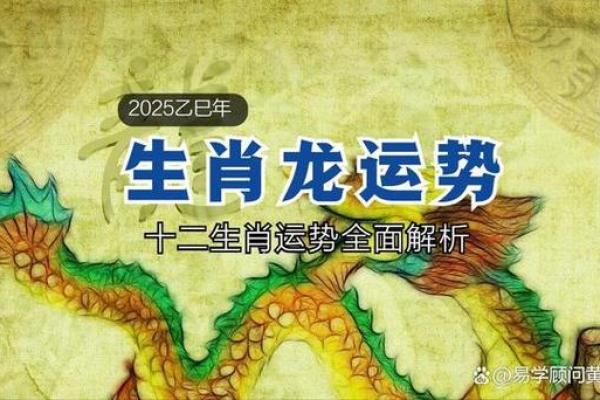1976年在2025年属龙人的运势 1976年属龙人2025年每月运势