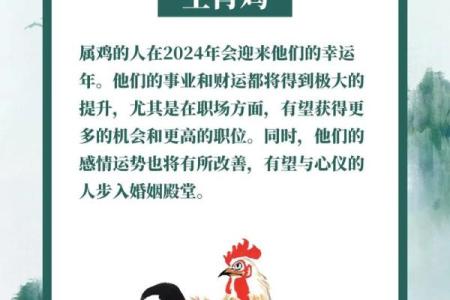 93年生肖鸡2025年运势 93年属鸡未来5年运势走向