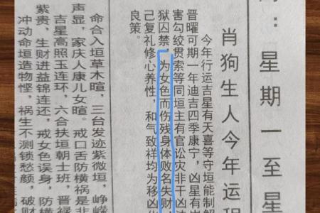 1982年属狗今年多大了_1982年属狗今年多大2023年运势解析