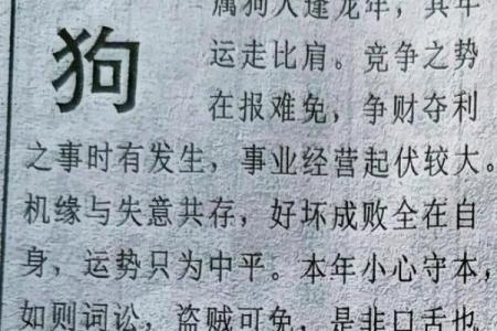 1982年2026年属狗人的全年运势 82年狗43岁开始转运了吗
