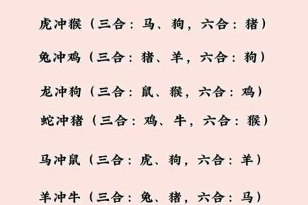 志同道合打一个生肖