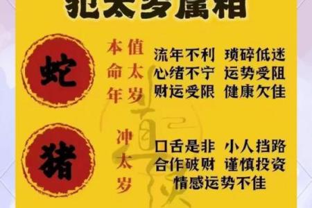 2025属龙财运大揭秘开年首月财富运势全解析