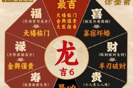 属龙2025几岁 属龙的2025年多少岁