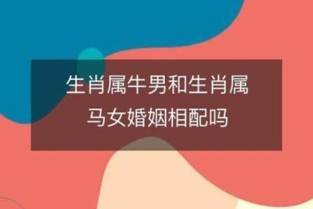2002属马女最佳婚配属相_2002年的女马属性最佳配偶是什么属性