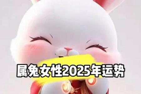 1987年属兔的今年运势_1987年属兔的今年运势及运程