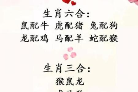哪个生肖最爱属鸡揭秘生肖配对中的最佳组合