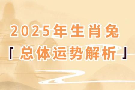 2023年兔五行属什么 2023年兔五行属什么命