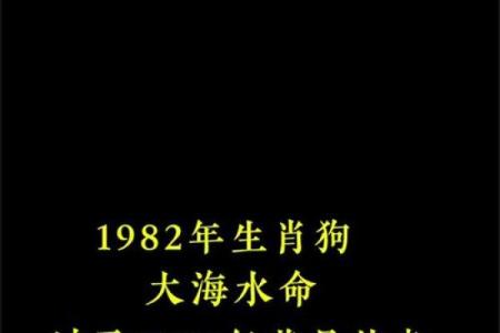 2025年属狗人运势解析事业财运大揭秘