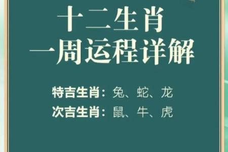 属龙明日运势_属龙明日运势神巴巴