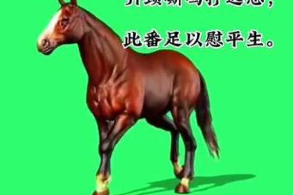 “嫌肥挑瘦”打一生肖是什么，嫌肥挑瘦是什么生肖答案解释释义落实