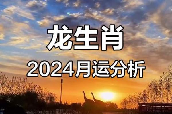 属龙人今天的运势和运程_金秋十月属龙人今日运势运程全解析