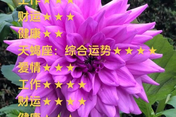 天秤星座运势查询 天秤座运势天秤座
