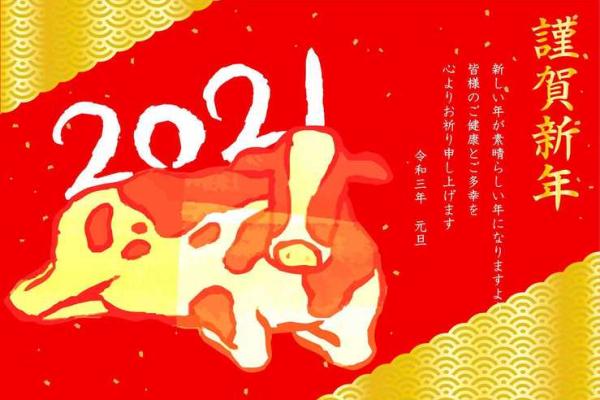 属兔男和什么属相最配对_属兔男最佳婚配属相揭秘最配生肖组合
