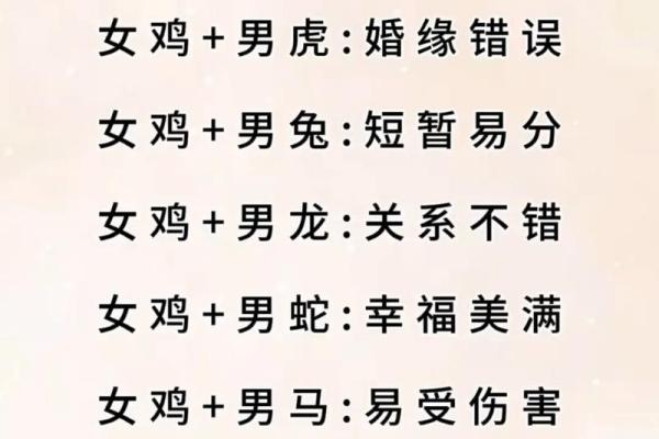 属鸡跟属鸡的姻缘怎么样_属鸡与属鸡的姻缘解析性格相合还是相冲