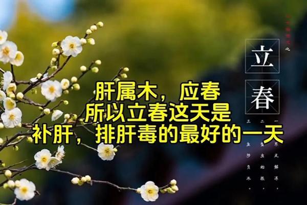 2024年立春是几点几分