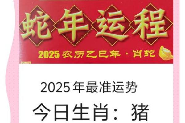 2025年属猪人运势详解财运事业爱情全面解析