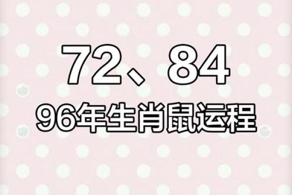 1984年2025年属鼠人感情运势