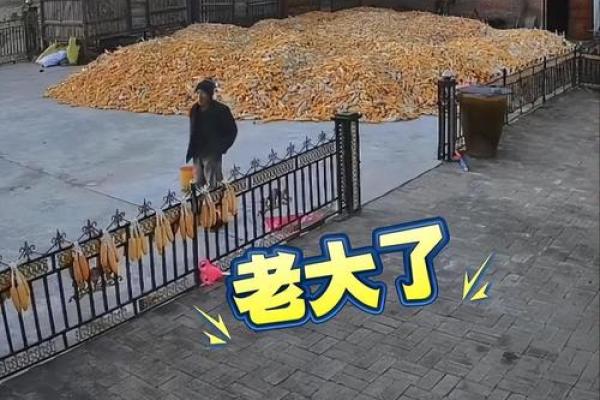 老虎头上动土