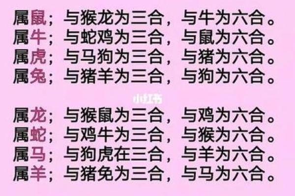2002年属马的命运与婚姻_2002年属马一生婚姻